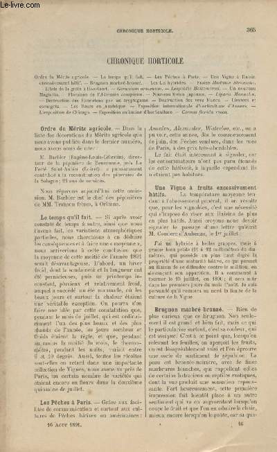 LA REVUE HORTICOLE 1891 N 16 - 16 aot -Ordre du mrite agricole - Le temps qu'il fait - Les pches  Paris - Une vigne  raisin excessivement htif - Brugnon marbr-bronz - Les lis hybrides - Fraise madame struelens - Effets de la grle  Hoeylaert - U