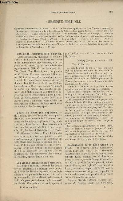 LA REVUE HORTICOLE 1891 N 20 - 16 oct. - Expo. internationale d'Anvers - Cours de botanique applique - Les vignes japonaises en Normandie - Descendance de la rose gloire de Dijon - Les gazons fleuris - Pomme rambour d'Amrique - Cerise belle de Franconv