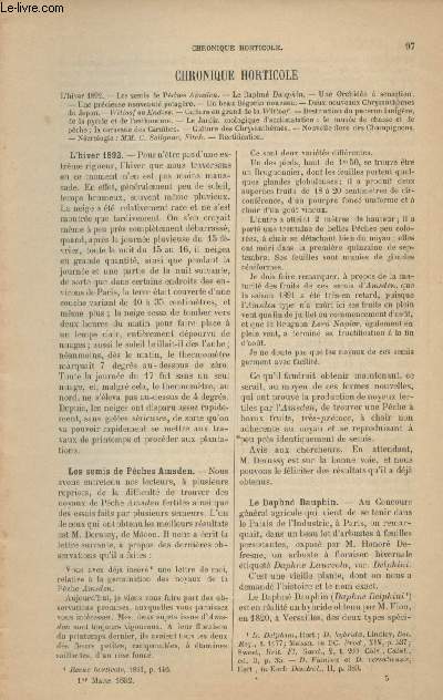 LA REVUE HORTICOLE 1892 N 5 - 1er mars - L'hiver 1892 - Les semis de pches amsden - Le daphn dauphin - Une orchide  sensation - Une prcieuse nouveaut potagre - Un beau bgonia nouveau - Deux nouveaux chrysanthmes du Japon - Culture en grand de la