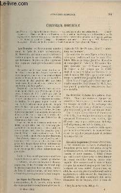 LA REVUE HORTICOLE 1892 N 6 - 16 mars - Les freesia - La vigne de l'le des princes - La dernire toilette des arbres fruitiers - Chenille bagueuse - Plantes en fleurs au musum - La question des trangers aux expositions - Les fleurs  Paris : Culture e