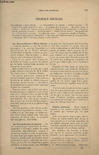 LA REVUE HORTICOLE 1893 N 24 - 16 dc. - Chrysanthmes  fleurs simples - Les chrysanthmes en espalier - Dahlias nouveaux - De l'origine de la greffe herbace en serre - Le greffage dans la mousse - Herniaria glabra et hirsuta - Identit des cattleya au