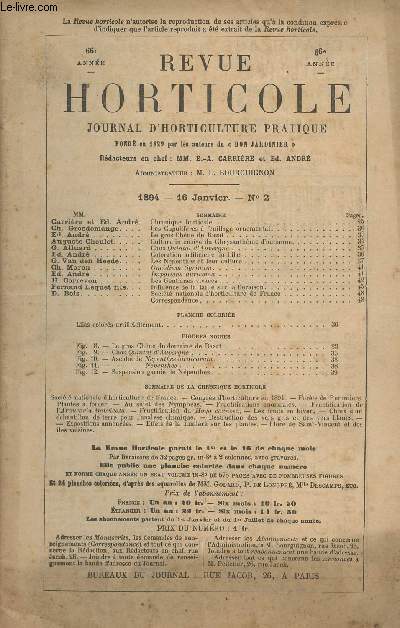 LA REVUE HORTICOLE 1894 N 2 - 66e anne 16 janv. - Chronique horticole - Les cupulifres  feuillage ornemental - Le gros chne de Razat - Culture intensive du chrysanthme d'automne - Chou quintal d'Auvergne - Coloration artificielle du lilas