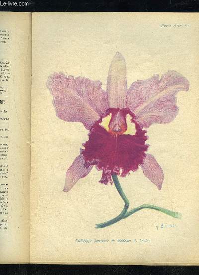 LA REVUE HORTICOLE 1923 N 14 - H. Martinet. Chronique horticole.F. Lfsourd. )^J. Grme. - Les Coloquinelles et la Coloquinte: Un tricentenaire horticole.Edmond Franois. - Un beau Palmier de Madagascar.A. Guillaumin. - Les Phalnopsis cultivs et leu