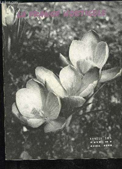 LA FRANCE HORTICOLE N 185 - CHRONIQUE INTERPROFESSIONNELLE :Les travaux du C.N.I.H. (page 8).CHRONIQUE JURIDIQUE : par F. GENILLIER (page 12).-S.N.C.F. : dlais transport plantes vivaces.-Affiches : droit de timbre.-G.A.E.C.-Commission suprieure des Con