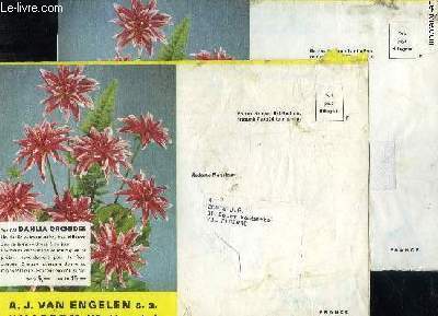 2 ENVELLOPPES A.J VAN ENGELEN - N126 DAHLIA ORCHIDEE