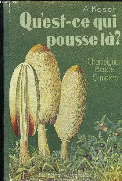 QU'EST-CE QUI POUSSE LA? CHAMPIGNONS BAIES SIMPLES