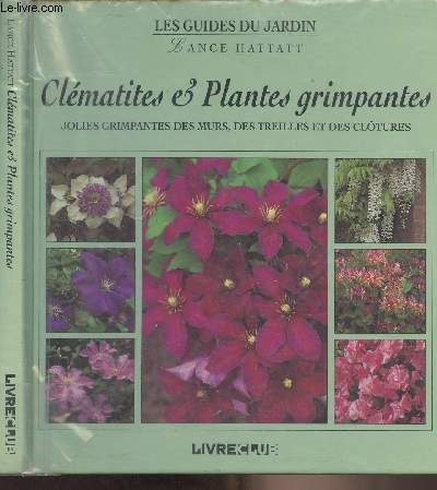 Clmatites et plantes grimpantes - 