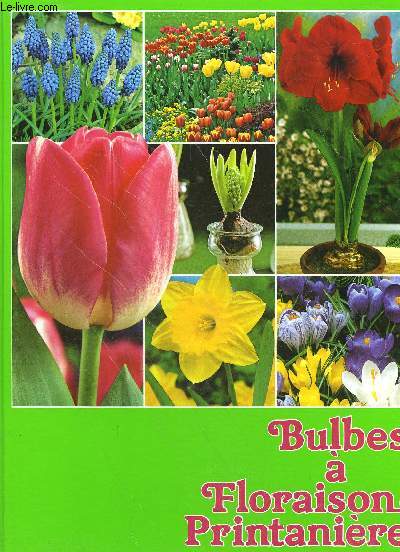 BULBES A FLORAISON PRINTANIERE