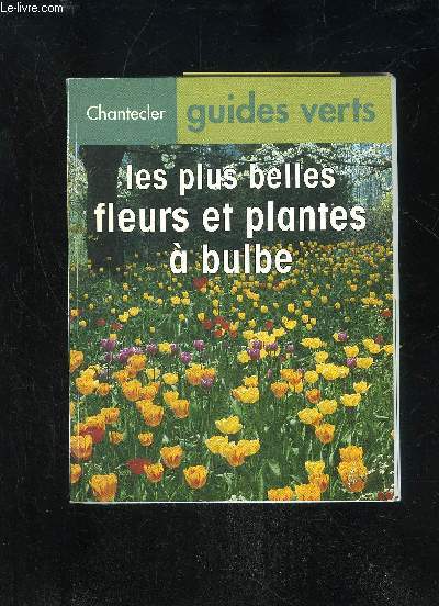 LES PLUS BELLES FLEURS ET PLANTE A BULBE
