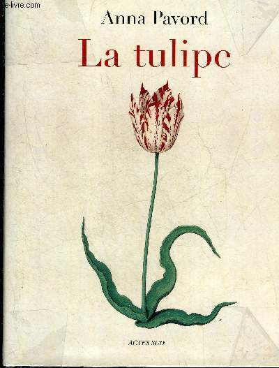 LA TULIPE.