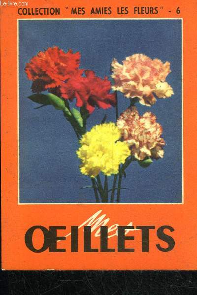MES OEILLETS - COLLECTION MES AMIES LES FLEURS N6