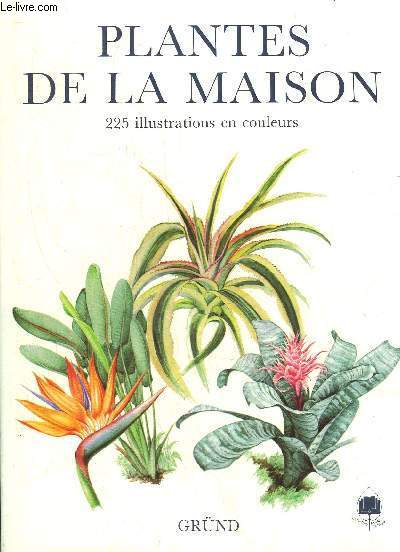 PLANTES DE LA MAISON
