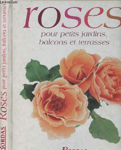 Roses pour petits jardins, balcons et terrasses