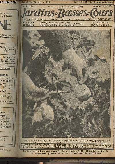 JARDINS ET BASSES-COURS N 37 2e anne - 5 septembre 1909 - Prparez vos oeillets  bien fleurir - Parez l'piderme de vos fruits par la photographie - Gurissez la gale de la tte des moutons - Moyen pratique d'engraisser les lapins - Quelques bons lgum
