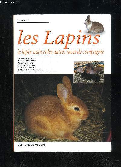 LES LAPINS - LE LAPIN NAIN ET LES AUTRES RACES DE COMPAGNIE