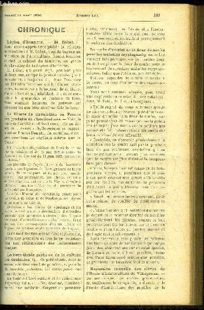 LE PETIT JARDIN ILLUSTRE N 127 - Chronique ; Les noegelia, Eug. Vallerand ; Laitue excelsior a graine blanche, Pois  trois cosses, Jules Vdy ; Quelques fleurs nouvelles, S. Mottet ; Rusticit du camellia, Jules rudolph ; Un moyen de dtruire la noctuel