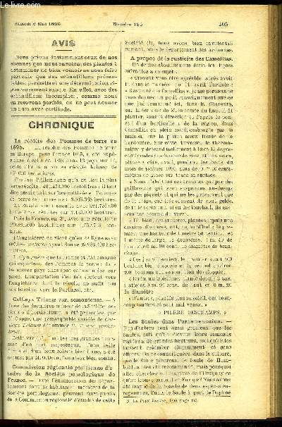 LE PETIT JARDIN ILLUSTRE N 130 - Chronique ; La cobe grimpante, Albert Maumen ; Les radis, J. Guillemain ; Ardisia cripa A.D.C., Nertera depressa Banks, Grome J. ; Destruction de la grise, Paul Noel ; Les ipomes, J. Fossey ; Bouturage du plantes gras