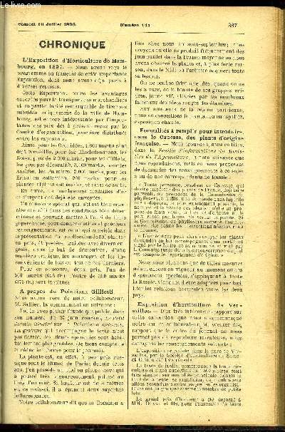 LE PETIT JARDIN ILLUSTRE N 141 - Chronique ; Les bougainvillea comm., Albert Griessen ; L'cussonnage des rosiers, Charles Baltet ; Le basilic, Ernest Berger ; Les oncidium, L. Guillochon ; Travaux du mois, A. Gourlot ; Le mimosa, Lag ; Varits, P. Lepa