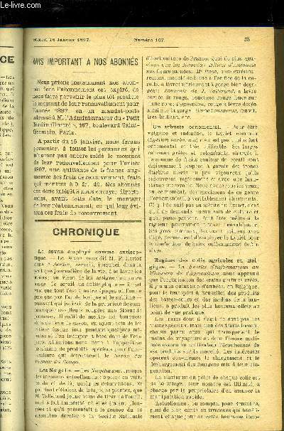 LE PETIT JARDIN ILLUSTRE N 167 - Chronique ; M. Ferdinand Bergman, H. Martinet ; L'aration des serres a pelargonum, A. Gouellain ; Conservation des jeunes tubercules de Dahlia, Henri Theulier fils ; Les ficoides, L. Le Clerc ; La plaine maraichre des