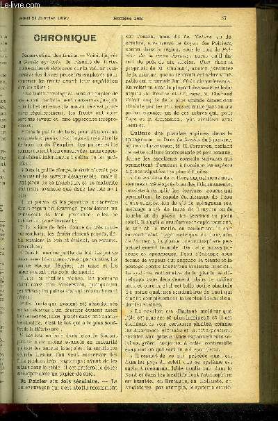 LE PETIT JARDIN ILLUSTRE N 168 - Chronique ; Les fleurs d'hiver, Albert Maumen ; Les cannas, B. Jarry-Desloges ; Serre-abri pour chrysanthmes, J. Lochot ; Culture potagre sur les tomates prcoces, J. Crawford ; L'olivier sa culture en provence, Max Ho