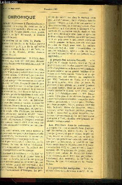 LE PETIT JARDIN ILLUSTRE N 185 - Chronique ; Le greffage des arbres pleureurs, H. Martinet ; Les chrysanthmes examen critique, R. Jarry-Desloges ; Les bruches leur destruction, J. Mahot ; La tomate, A. Gouellain ; L'ornementation printanire des jardin