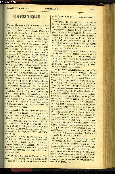 LE PETIT JARDIN ILLUSTRE N 205 - Chronique ; L'erythea edulis, Nardy Pre ; Les azales grffes sur rhododendrons, E. Treillaud ; Les asters, M. Madelain ; La scarole, A. Gouellain ; L'exposition d'horticulture de hambourg 1, Albert Maumen ; Les aeschn