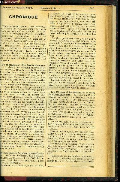 LE PETIT JARDIN ILLUSTRE N 213 - Les Capillaires (Adiantum), par M. L. Guil-lochon ; L'hiver et les plantes d'appartement, par M. Albert Maumen ; Le jardin d'agrment, par M. S. Mottet; La culture des Pois de la Sainte-Catherine, par M. J. Foussat, La