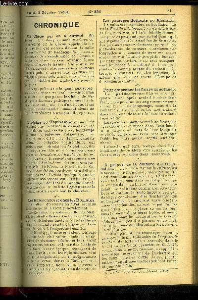 LE PETIT JARDIN ILLUSTRE N 222 - Les garnitures florales du mois, par M. Al bert Maumen ; La Violette d'Usambara (Sain</ paulca ionantha), par M. J. Rudolph; La Tomai en pleine terre, par M. J. Foussat; L'tablis,r ment de la charpente des Pchers, par