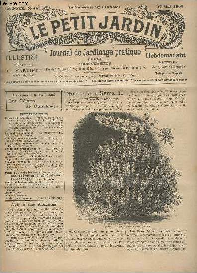 LE PETIT JARDIN ILLUSTRE N 603 - 27 mai 1905 - Lupin en arbre  fleur blanc pur - Le fourmis et l'horticulture - Les cultures florales en Italie - Le pril jaune - Les causeries-confrences de la socit national d'horticulture - L'ornementation florale