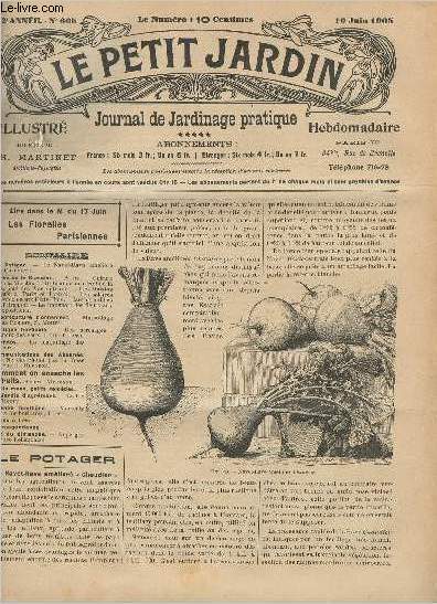 LE PETIT JARDIN ILLUSTRE N 605 - 10 juin 1905 - Le navet-rave amlior 