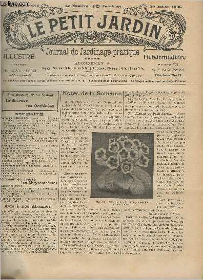 LE PETIT JARDIN ILLUSTRE N 612 - 29 juil. 1905 - Gloxinias hybrides nouveaux -Compliment au Petit Jardin - Culture du raifort en Bavire - Un banquet agricole original - La production des truffes en France - La culture de la morille..