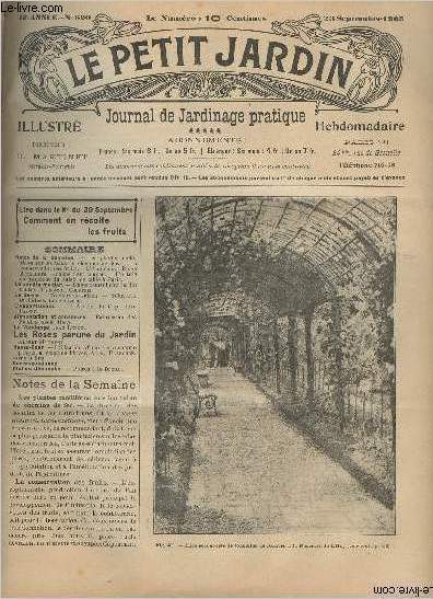 LE PETIT JARDIN ILLUSTRE N 620 - 23 sept. 1905 -Les plantes mellifres sur les talus de chemins de fer - La conservation des fruits - L'anthmis 