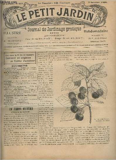 LE PETIT JARDIN ILLUSTRE N 622 - 7 oct. 1905 - L'histoire du cerisier - Ne plantons pas des cerisiers trop hauts - La poire Roosevelt - Le baron Komura et l'horticulture - La disette d'oranges - le pain de pommes - Les espces fruitires en Hongrie