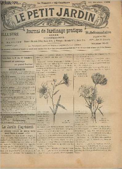 LE PETIT JARDIN ILLUSTRE N 623 - 14 oct. 1905 - Les plantes vivaces de pleine terre pour fleurs  couper - La culture sous verre en Algrie - La mouche de l'olivier - Jardins d'exprience aux Etats-Unis - Importation des fleurs en Angleterre