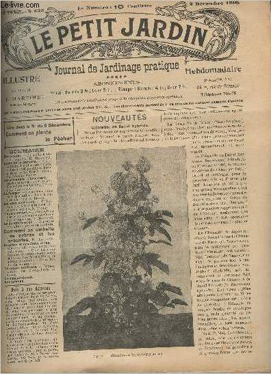 LE PETIT JARDIN ILLUSTRE N 630 - 2 dc. 1905 - Clmatite de David hybride - Cours d'horticulture  Paris - Les fils tlgraphiques baromtres - Le rosier soyeux les grandes pines - Quelques arbustes peu rpandus  floraison tardive..