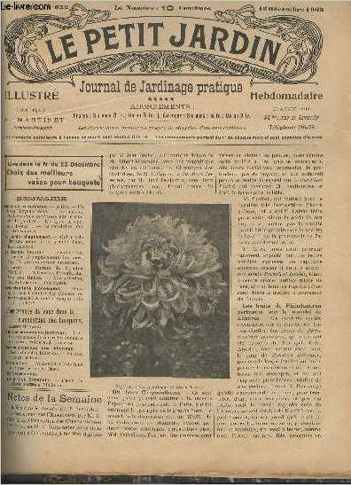 LE PETIT JARDIN ILLUSTRE N 632 - 16 dc. 1905 - Un beau chrysanthme - Les fruits de philodendron pertusum sur le march de Londres - L'origine du 