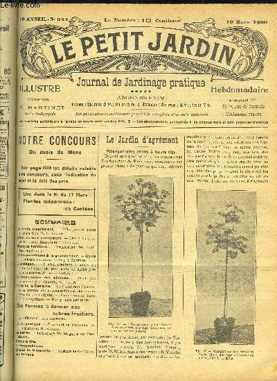 LE PETIT JARDIN ILLUSTRE N 644 - Le jardin d'agrment. - Plargonium zons  haute tige, P. Largault.Arboriculture d'ornement. - Les Aralias de pleine terre, Emmanuel Raignault.Pratique horticole, - Prparation des bouillies cupriques,Le Chrysanthme  l
