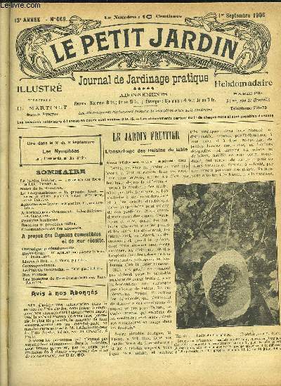LE PETIT JARDIN ILLUSTRE N 669 - Le jardin fruitier. - L'ensaehage (les Raisins de table, Charmeljx.Notes de la Semaine.Le Chrysanthme  la grande fleur. -Cours de cultnre populaire (suite), 32