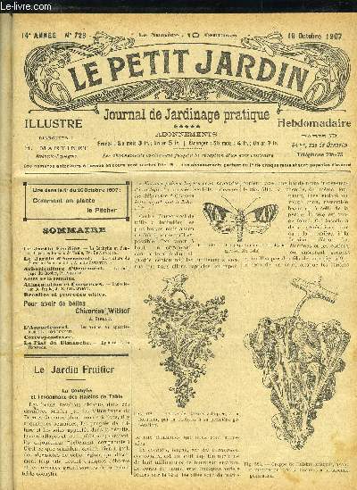 LE PETIT JARDIN ILLUSTRE N 728 - Le Jardin Fruitier. - La Cochylis et l'en-sachage des Raisins de Table, Fr. Charmeux.Le Jardin d'Agrment. - La culture du Chrysanthme en tube, Achille Faustin. Arboriculture d'Ornement. - Le forage du Rosier, P. Pe