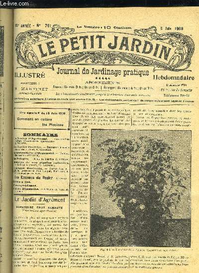 LE PETIT JARDIN ILLUSTRE N 761 - Le Jardin d'Agrment . - Eupatoire faux Agrate (Eupatorium ageratoides 8,