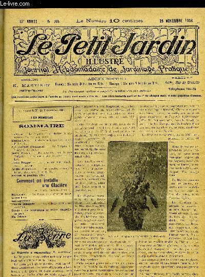 LE PETIT JARDIN ILLUSTRE N 786 - La Serre. Le Bgonia  maneheH.es (B. ma-nicata}, Ad. 7an den Ieedf.L'Appartement. -- Cuitiire au Muguet sur vase/. P. Lyon.net.Arboriculture d'ornement. - Le Tulipier de Virginie. A. Bedne.Jardin Fruitier.