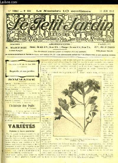 LE PETIT JARDIN ILLUSTRE N 866 - Varits. - Digitales  fleurs anormales. Ad. Van den LIeede. - Fasciation ornementale du Fusain du Japon. Em. Gadeceau.Pratique horticole. - Du repiquage et de lit t plantation  demeure. Ch. Clment.Engrais et A