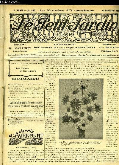LE PETIT JARDIN ILLUSTRE N 889 - Jardin d'Agrment. - Les Gazanies (GazaniOj Ad. Van den Heede.Jardin potager. - Forage de la Rhubarbe par transplantation et sur place. C. Potrat. Arboriculture d'ornemenii - Le Camlia : sa culture en plein air sous