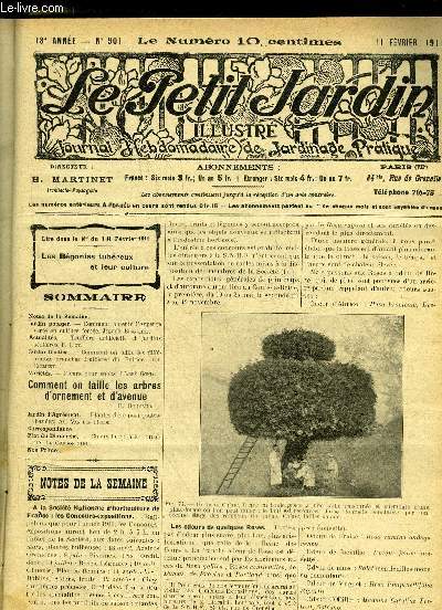 LE PETIT JARDIN ILLUSTRE N 901 - Notes de la Semaine.Jardin potager. - Comment obtenir l'Asperge verte en culture force. Joseph Blanchet.Actualits. - Truffire artificielle et jardins scolaires. F. Liot.Jardin fruitier. - Comment on taille