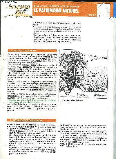 LA GIRONDE VERTE
