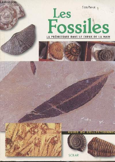 Les fossiles - La prhistoire dans le creux de la main