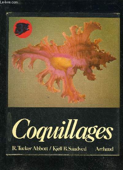 COQUILLAGES.