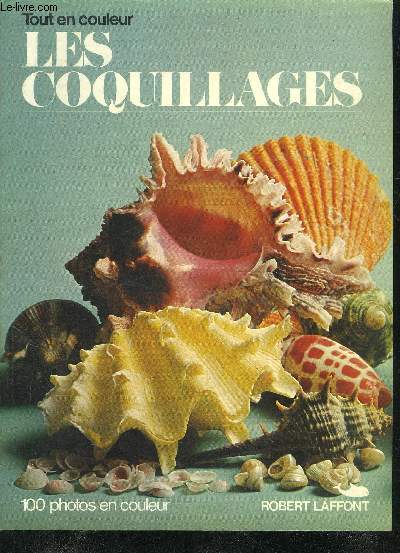 TOUT EN COULEUR - LES COQUILLAGES.