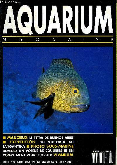 AQUARIUM MAGAZINE N 66 Malicieux le tetra de buenos aires - expedition du victoria au tanganyika - photo sous marine devenez un voleur de couleurs - dossier vivarium serpent de verre a manipuler avec prcaution l'orvet est fragile comme du cristal etc.