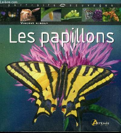 LES PAPILLONS.